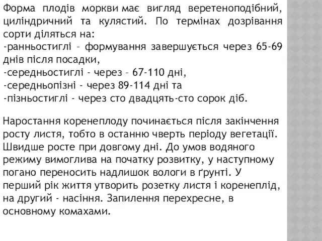 Форма плодів моркви має вигляд веретеноподібний, циліндричний та кулястий. По