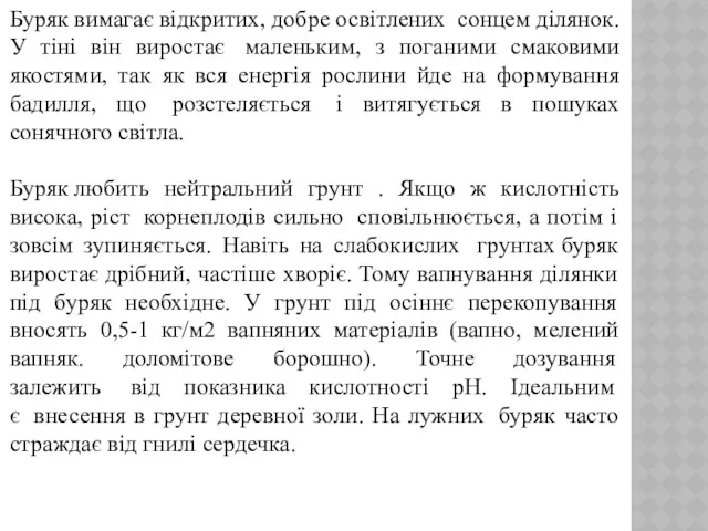 Буряк вимагає відкритих, добре освітлених сонцем ділянок. У тіні він