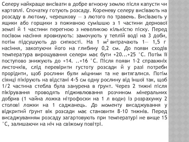 Селеру найкраще висівати в добре вгноєну землю після капусти чи