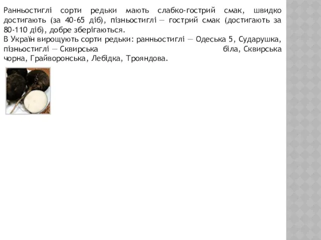 Ранньостиглі сорти редьки мають слабко-гострий смак, швидко достигають (за 40-65
