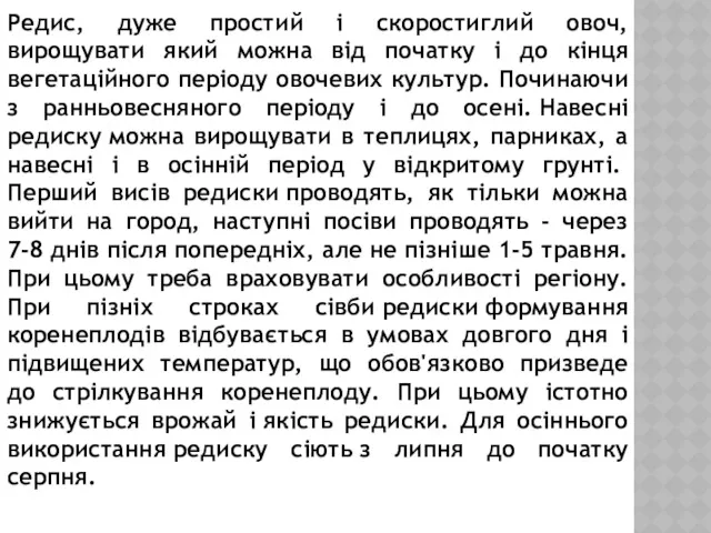 Редис, дуже простий і скоростиглий овоч, вирощувати який можна від