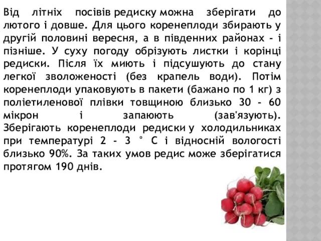 Від літніх посівів редиску можна зберігати до лютого і довше.