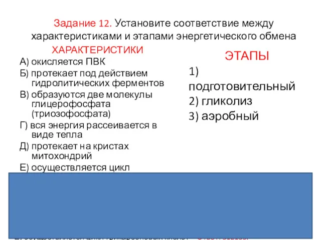 Задание 12. Установите соответствие между характеристиками и этапами энергетического обмена