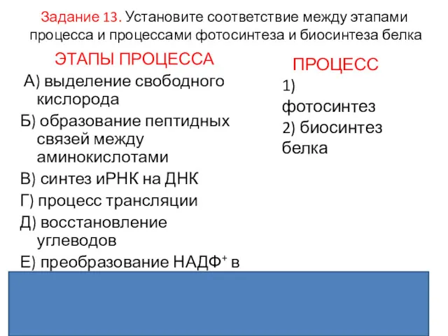 Задание 13. Установите соответствие между этапами процесса и процессами фотосинтеза