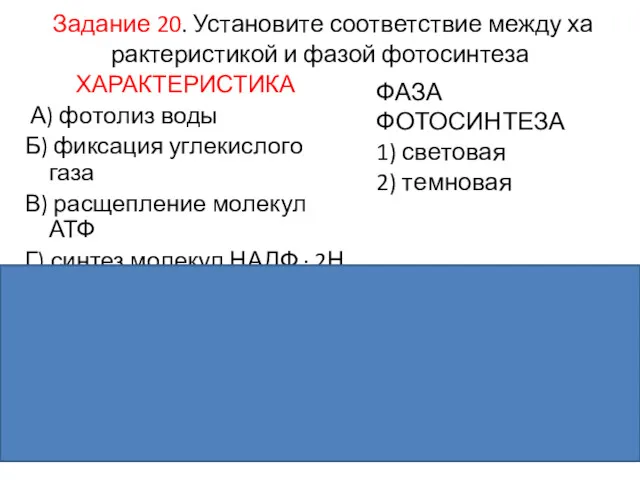 Задание 20. Установите со­от­вет­ствие между ха­рак­те­ри­сти­кой и фазой фотосинтеза ХАРАКТЕРИСТИКА