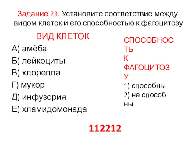 Задание 23. Установите со­от­вет­ствие между видом кле­ток и его спо­соб­но­стью