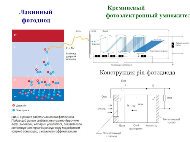 Лавинный фотодиод Кремниевый фотоэлектронный умножитель Конструкция pin-фотодиода