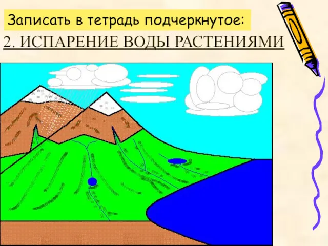 2. ИСПАРЕНИЕ ВОДЫ РАСТЕНИЯМИ Записать в тетрадь подчеркнутое: