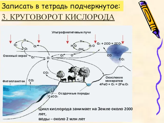 Цикл кислорода занимает на Земле около 2000 лет, воды –