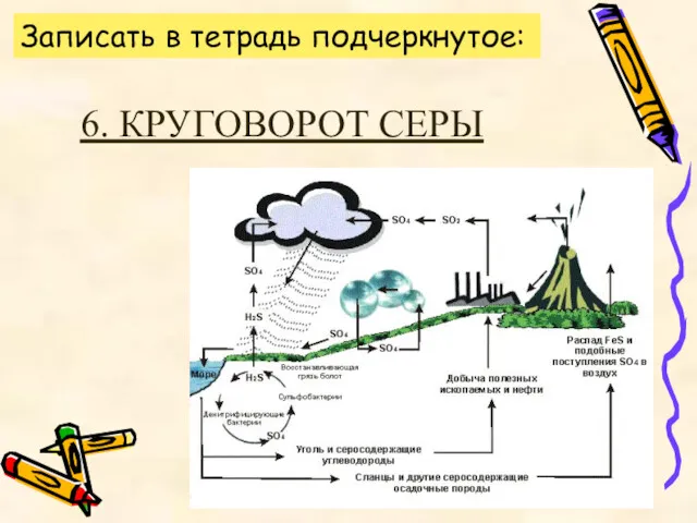 6. КРУГОВОРОТ СЕРЫ Записать в тетрадь подчеркнутое: