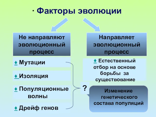 ∙ Факторы эволюции Не направляют эволюционный процесс Направляет эволюционный процесс