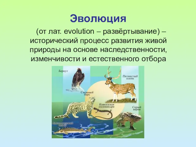 Эволюция (от лат. evolution – развёртывание) – исторический процесс развития