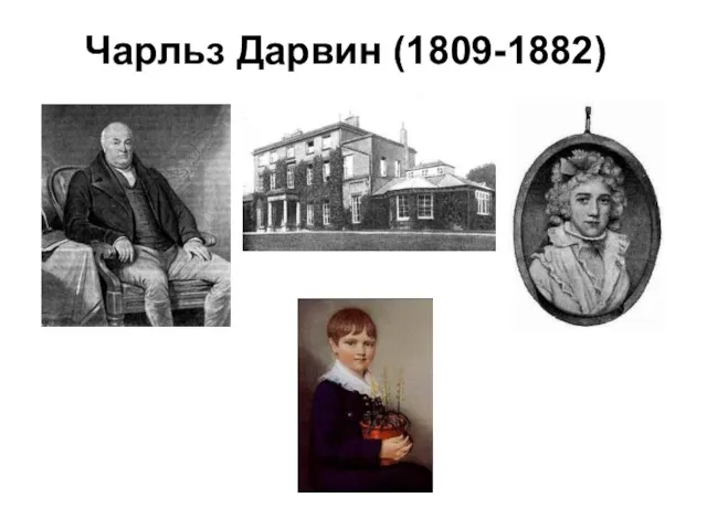 Чарльз Дарвин (1809-1882) Отец Ч. Дарвина Роберт Уоринг Дарвин Мать