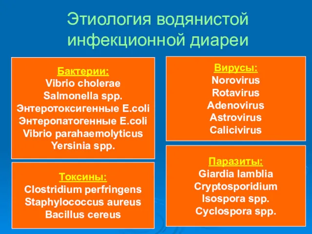 Этиология водянистой инфекционной диареи Бактерии: Vibrio cholerae Salmonella spp. Энтеротоксигенные