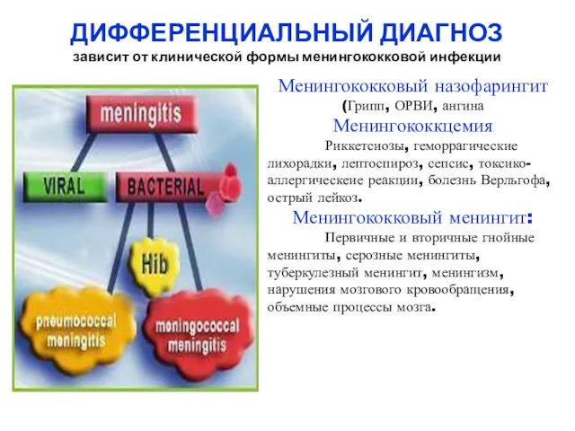 ДИФФЕРЕНЦИАЛЬНЫЙ ДИАГНОЗ зависит от клинической формы менингококковой инфекции Менингококковый назофарингит