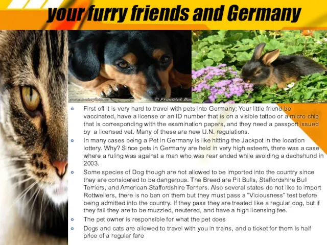 your furry friends and Germany First off it is very