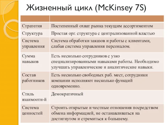 Жизненный цикл (McKinsey 7S)