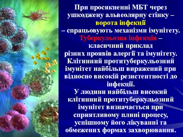 При просякненні МБТ через ушкоджену альвеолярну стінку – ворота інфекції