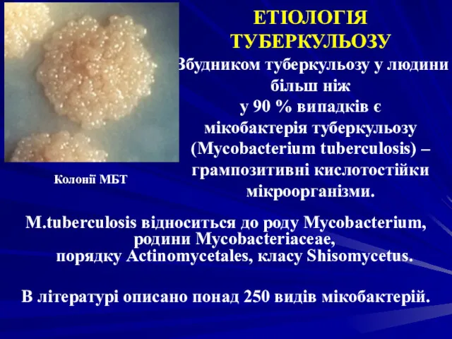 ЕТІОЛОГІЯ ТУБЕРКУЛЬОЗУ Збудником туберкульозу у людини більш ніж у 90