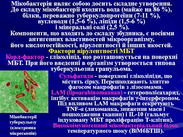 Мікобактерія являє собою досить складне утворення. До складу мікобактерії входять