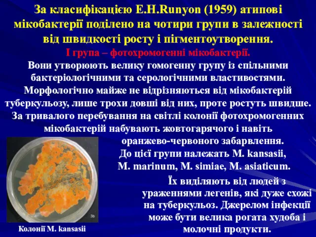 За класифікацією E.H.Runyon (1959) атипові мікобактерії поділено на чотири групи