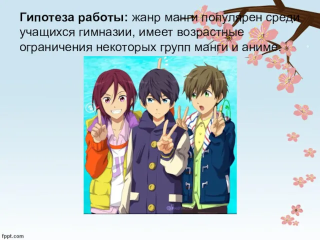 Гипотеза работы: жанр манги популярен среди учащихся гимназии, имеет возрастные ограничения некоторых групп манги и аниме.