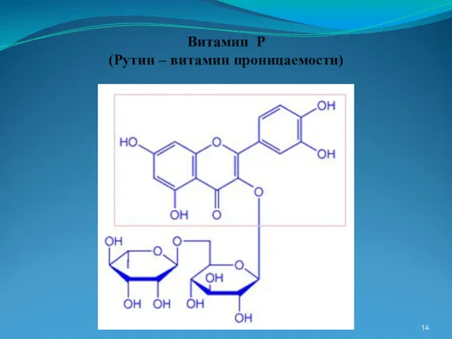 Витамин Р (Рутин – витамин проницаемости)