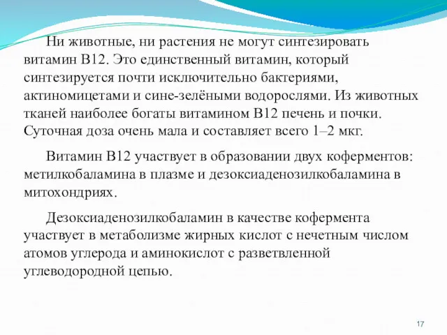 Ни животные, ни растения не могут синтезировать витамин В12. Это