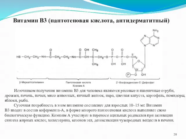 Витамин В3 (пантотеновая кислота, антидерматитный) Источником получения витамина В3 для