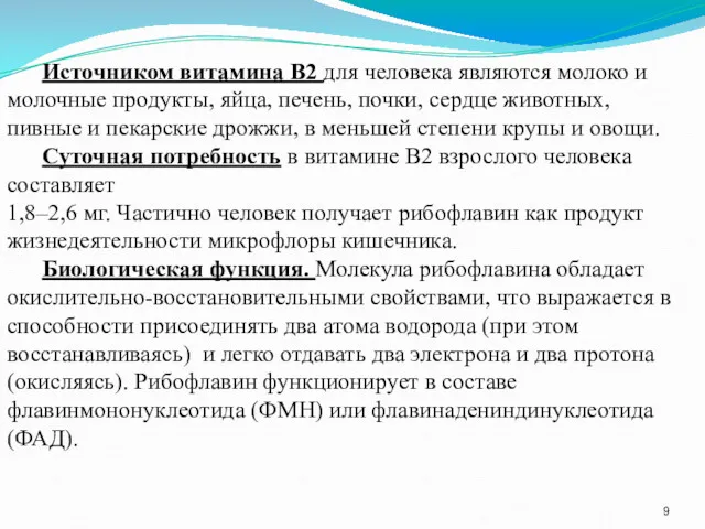 Источником витамина В2 для человека являются молоко и молочные продукты,