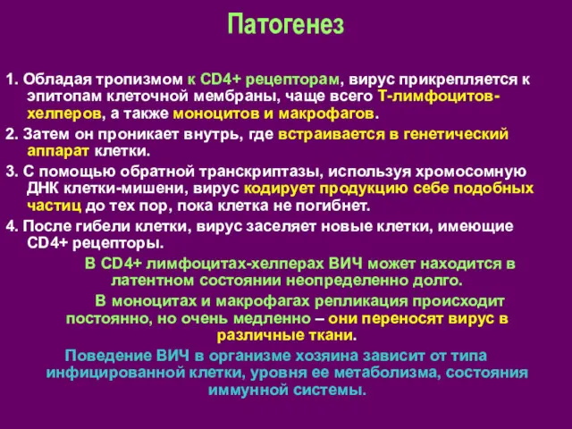 Патогенез 1. Обладая тропизмом к СD4+ рецепторам, вирус прикрепляется к