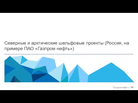 Северные и арктические шельфовые проекты (Россия, на примере ПАО «Газпром нефть»)