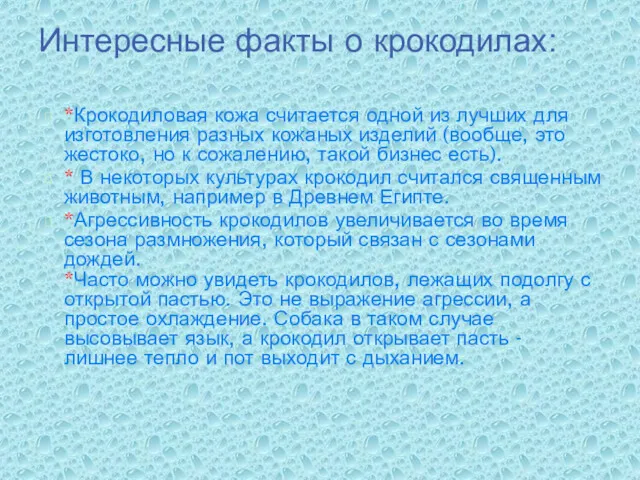 *Крокодиловая кожа считается одной из лучших для изготовления разных кожаных