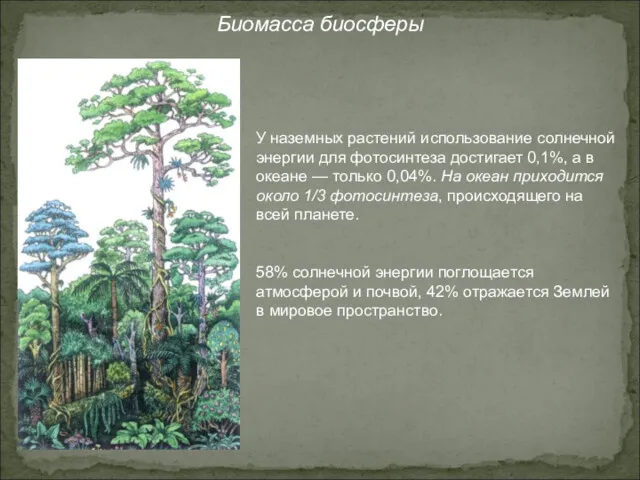 Биомасса биосферы У наземных растений использование солнечной энергии для фотосинтеза