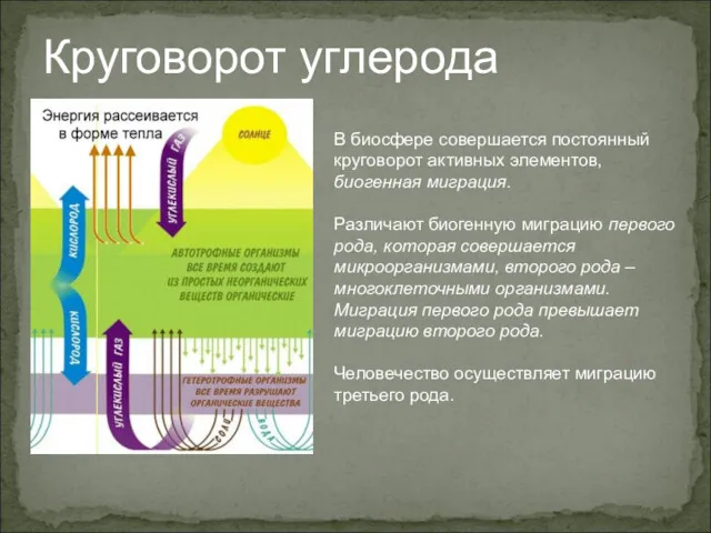 В биосфере совершается постоянный круговорот активных элементов, биогенная миграция. Различают