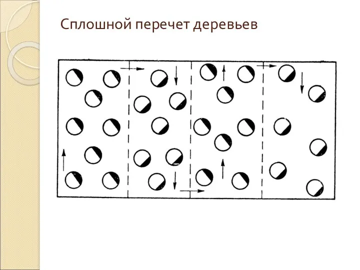 Сплошной перечет деревьев