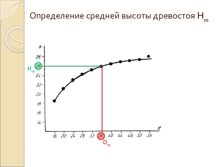 Определение средней высоты древостоя Hm Dm Hm