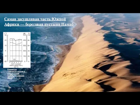 Самая засушливая часть Южной Африки — береговая пустыня Намиб Годовой