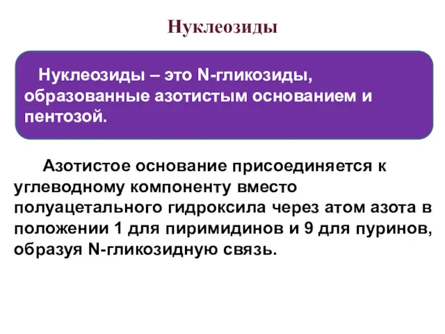 Нуклеозиды Азотистое основание присоединяется к углеводному компоненту вместо полуацетального гидроксила