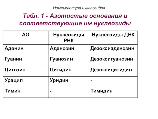 Табл. 1 - Азотистые основания и соответствующие им нуклеозиды Номенклатура нуклеозидов