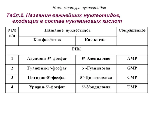 Номенклатура нуклеотидов Табл.2. Названия важнейших нуклеотидов, входящих в состав нуклеиновых кислот