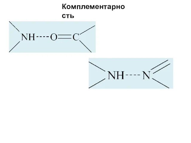 Комплементарность