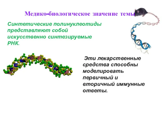 Синтетические полинуклеотиды представляют собой искусственно синтезируемые РНК. Эти лекарственные средства