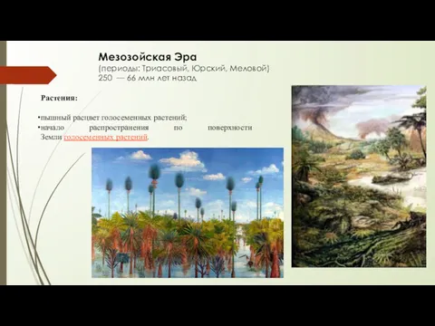 Мезозойская Эра (периоды: Триасовый, Юрский, Меловой) 250 — 66 млн