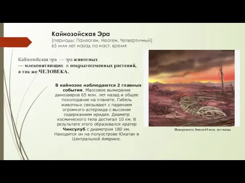 Кайнозойская Эра (периоды: Палеоген, Неоген, Четвертичный) 65 млн лет назад по наст. время