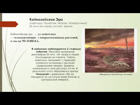 Кайнозойская Эра (периоды: Палеоген, Неоген, Четвертичный) 65 млн лет назад