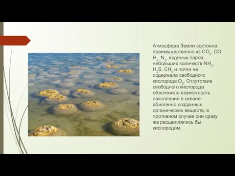 Атмосфера Земли состояла преимущественно из CO2, CO, H2, N2, водяных паров, небольших количеств