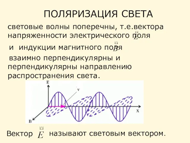 ПОЛЯРИЗАЦИЯ СВЕТА взаимно перпендикулярны и перпендикулярны направлению распространения света. световые