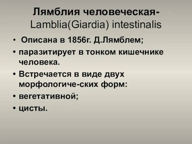 Лямблия человеческая- Lamblia(Giardia) intestinalis Описана в 1856г. Д.Лямблем; паразитирует в
