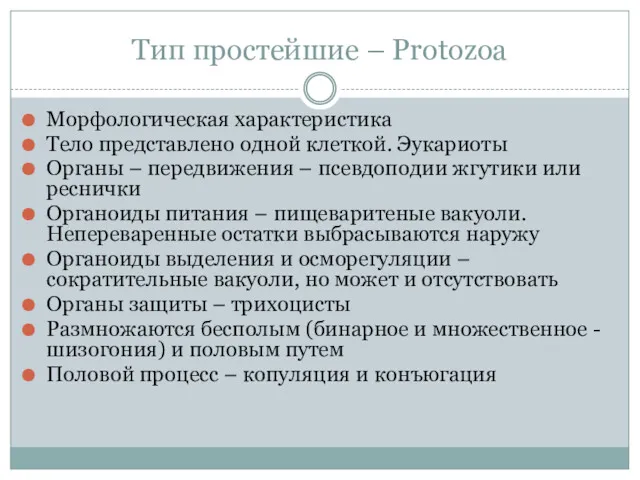 Тип простейшие – Рrotozoa Морфологическая характеристика Тело представлено одной клеткой.